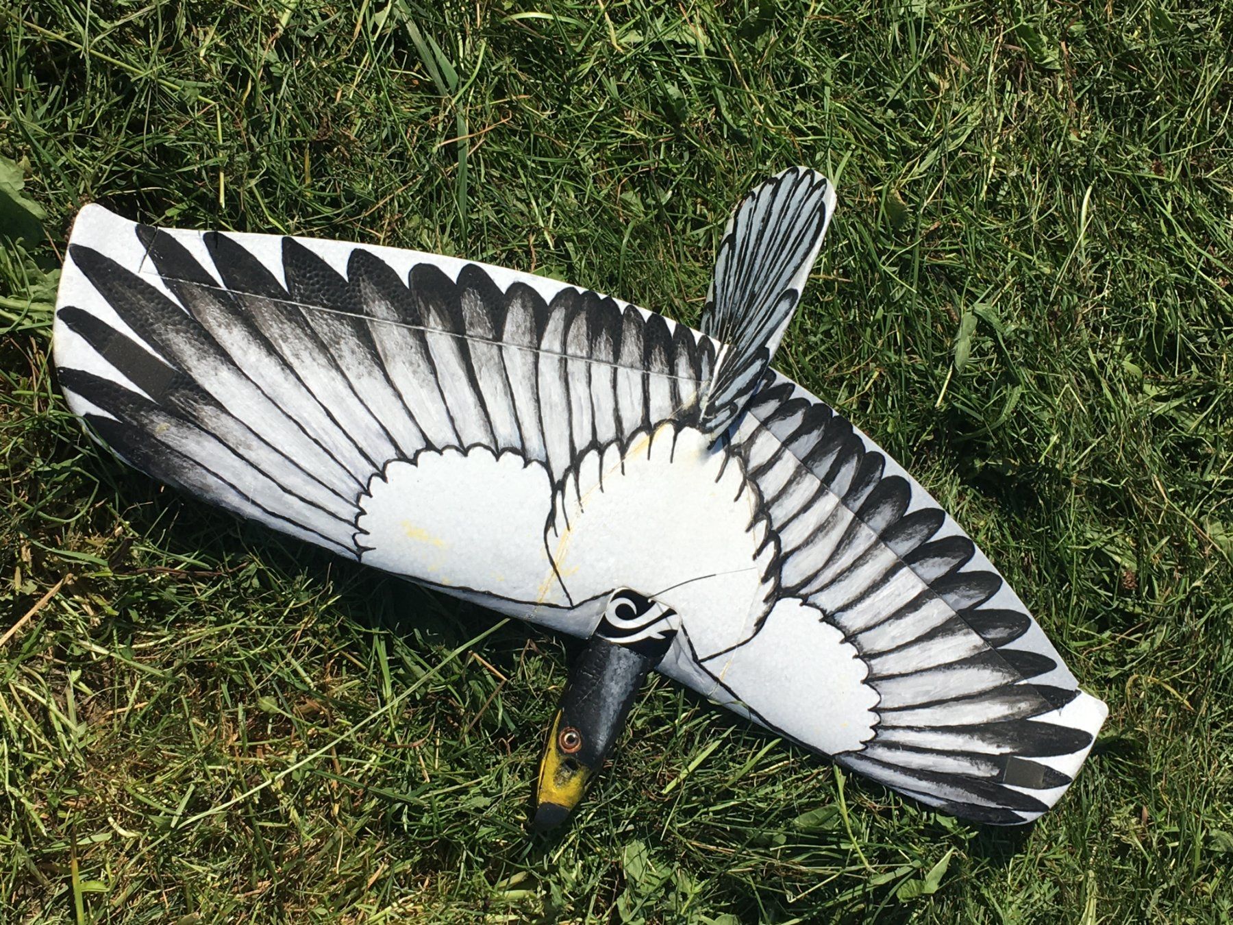 RC Modellbau: Segler ALULA als Adler – Gebraucht aus Buchrain von Bijou3 1