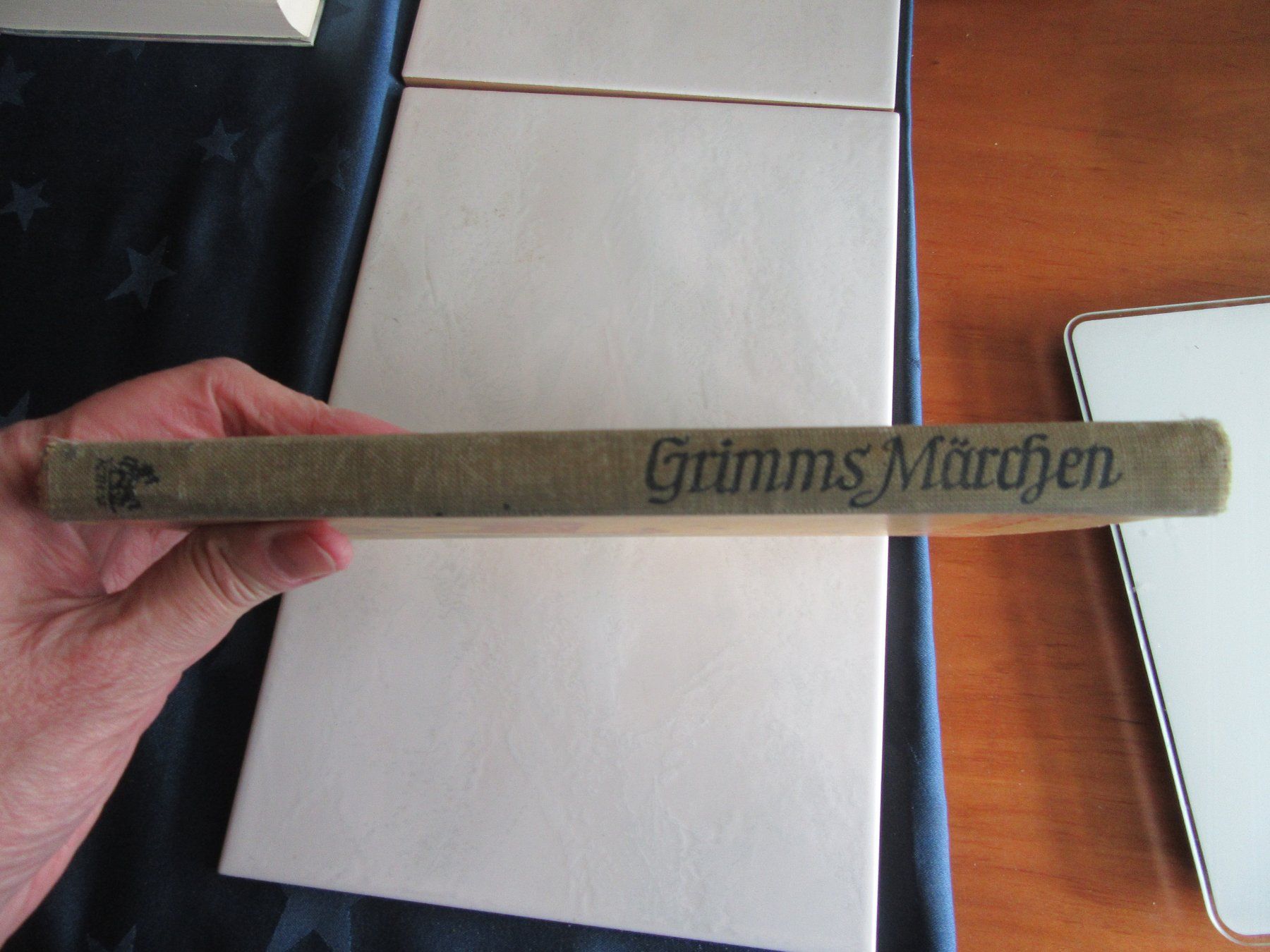 Libri: Brüder Grimms Kindermärchen, altes Buch – Usato da Wattwil venduto da wampi 2