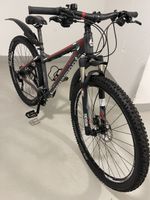 Velo 29 Zoll BERGAMONT