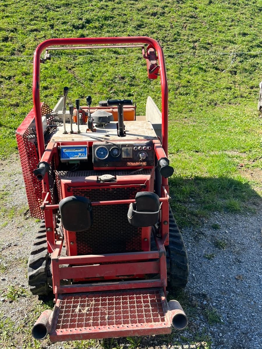 Autoribaltabili: YANMAR Raupendumper / 780kg – Usato da Stein AR venduto da Krison98 3