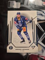 Gregory Hofmann EV Zug Playoffs 2025 Sportzoo