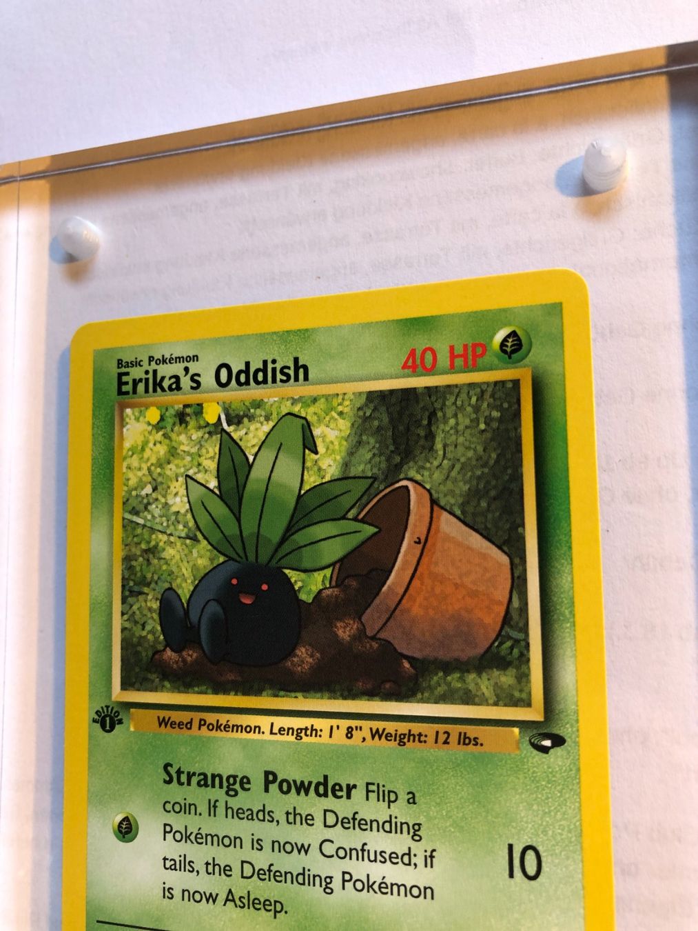 Cartes à collectionner: Erika's Oddish 1st Gym Challenge - MINT - ab 1.- – D'occasion à Giubiasco par dan_pr8b 3