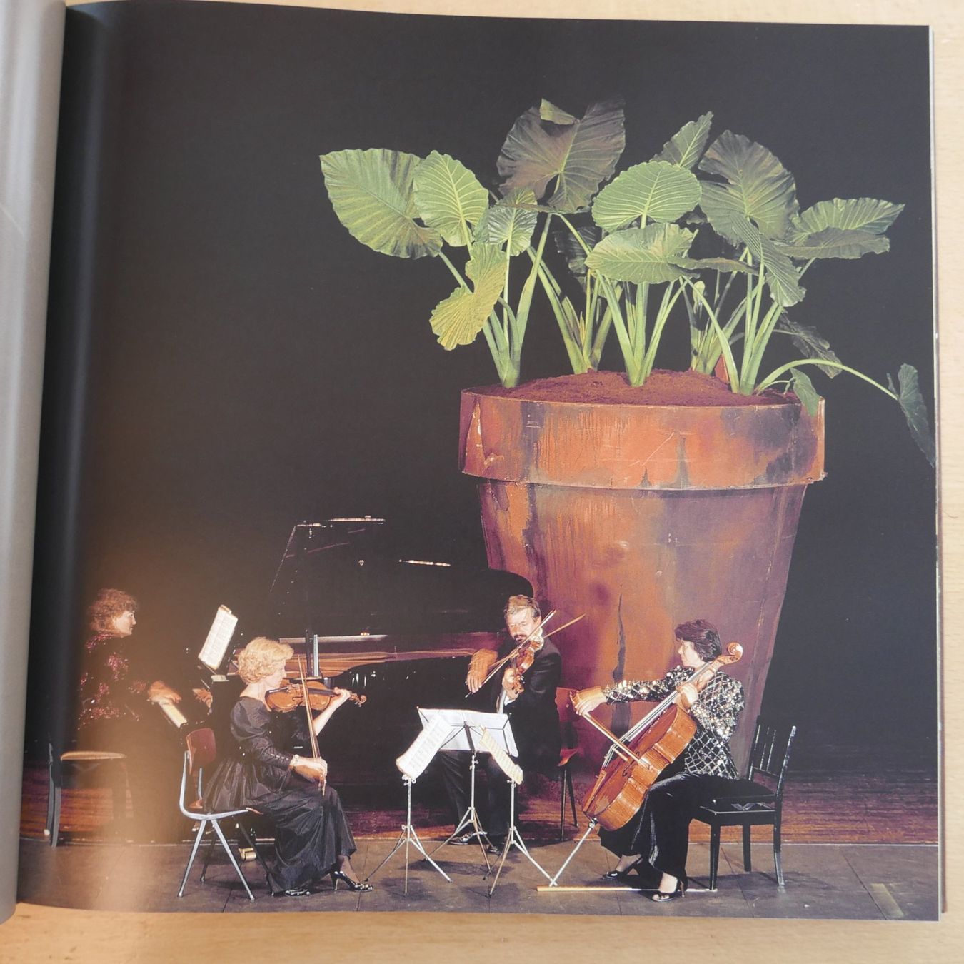 Livres: Blumenträume  einmalig  33.5 x 33.5 cm – D'occasion à Rotkreuz par nigal 4