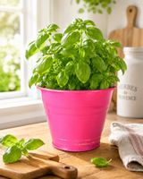 Rosa Mini Blumentopf / Übertopf – 8 cm – Deko