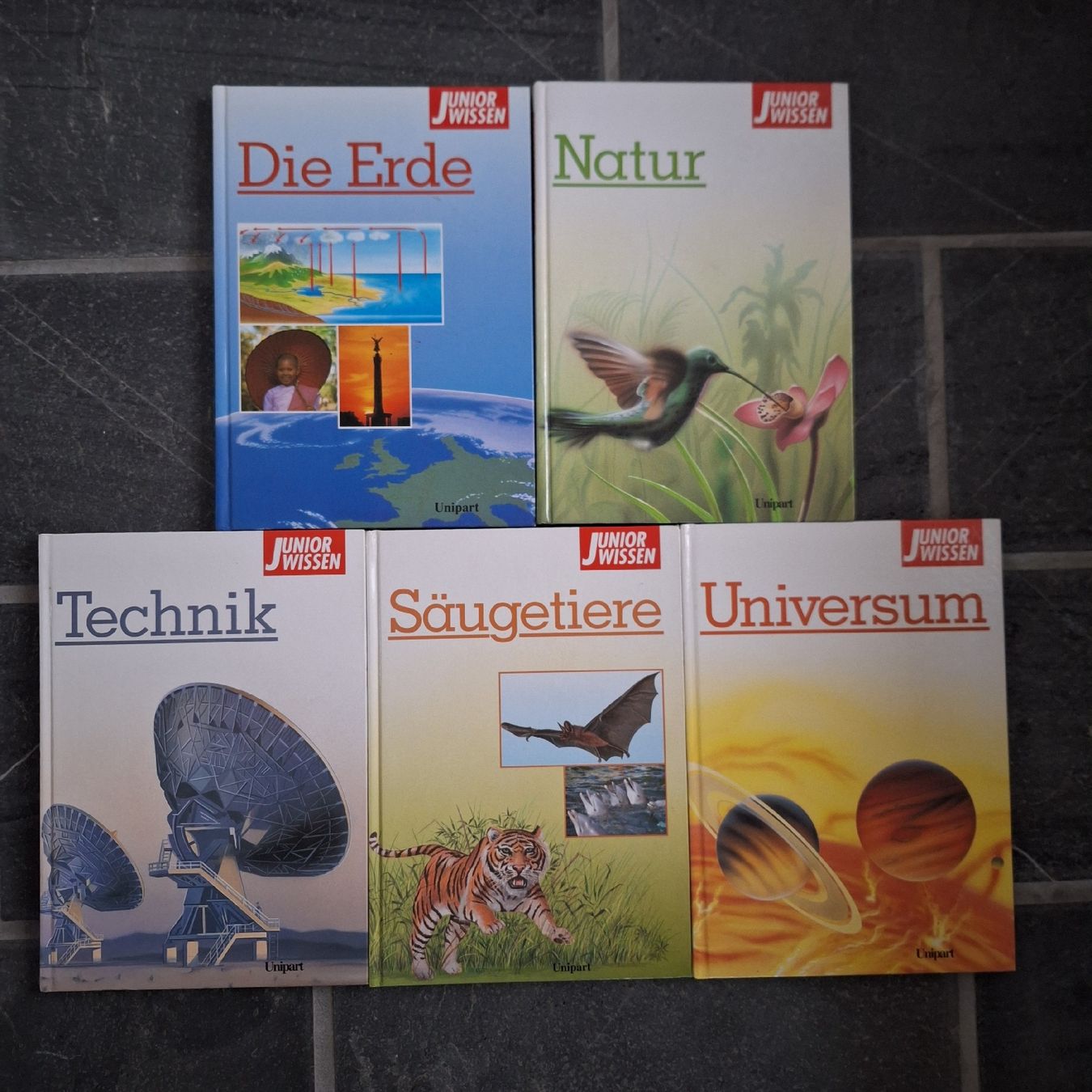 Libri: Buchreihe Junior Wissen – Usato da Schübelbach venduto da rab02