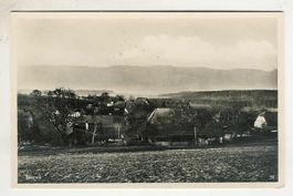 Biezwil SO Ortsansicht Nr.79 , 1950