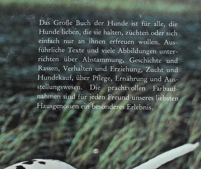Libri: Das Grosse Buch der Hunde – Usato da Schlatt TG venduto da annesbuecher 1