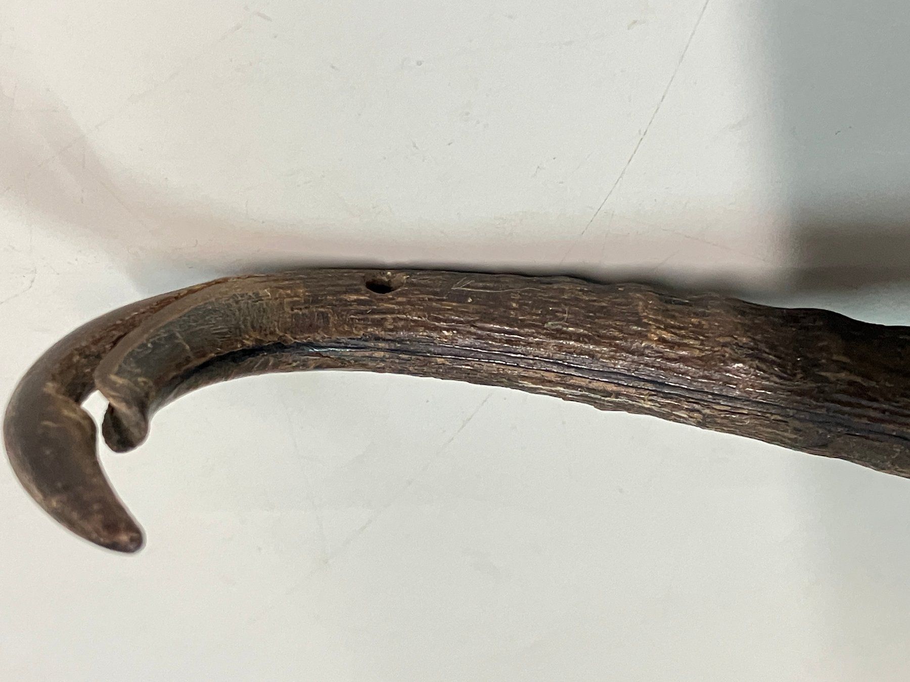 Campanacci mucche: Horn Glöcklein H 12 cm Durchmesser 72 mm – Usato da Horw venduto da luzernicus 5