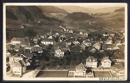 Oberdiessbach /Bern, Teilansicht, Fliege
