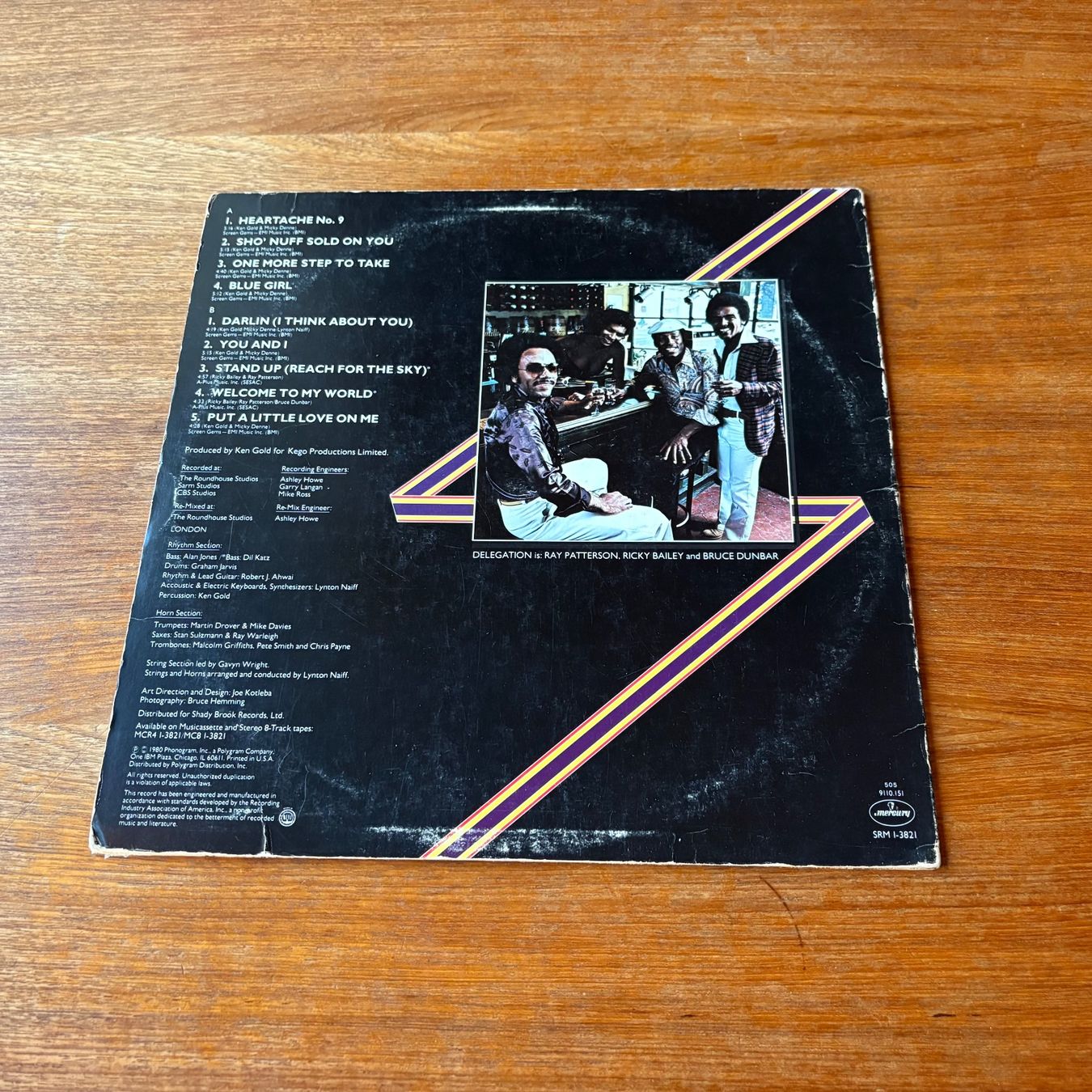 Dischi in vinile: Delegation – Delegation – Usato da Zürich venduto da gaal7 1