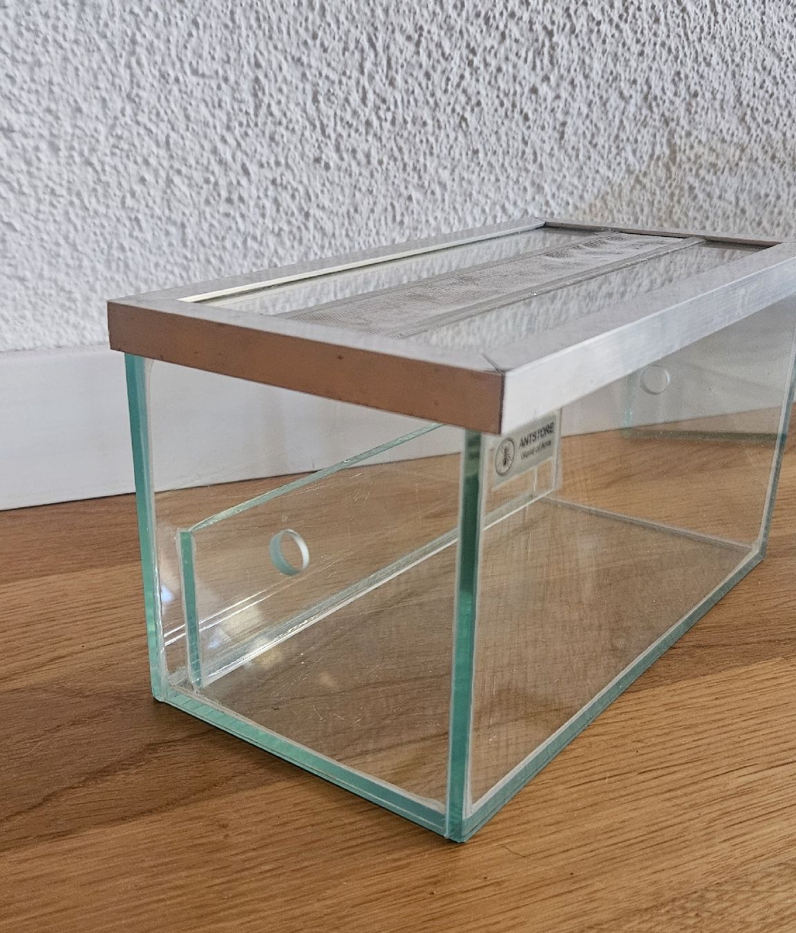 Terrario: Ameisenfarm-Set / Formicarium – Usato da Luzern venduto da ruhmred 1