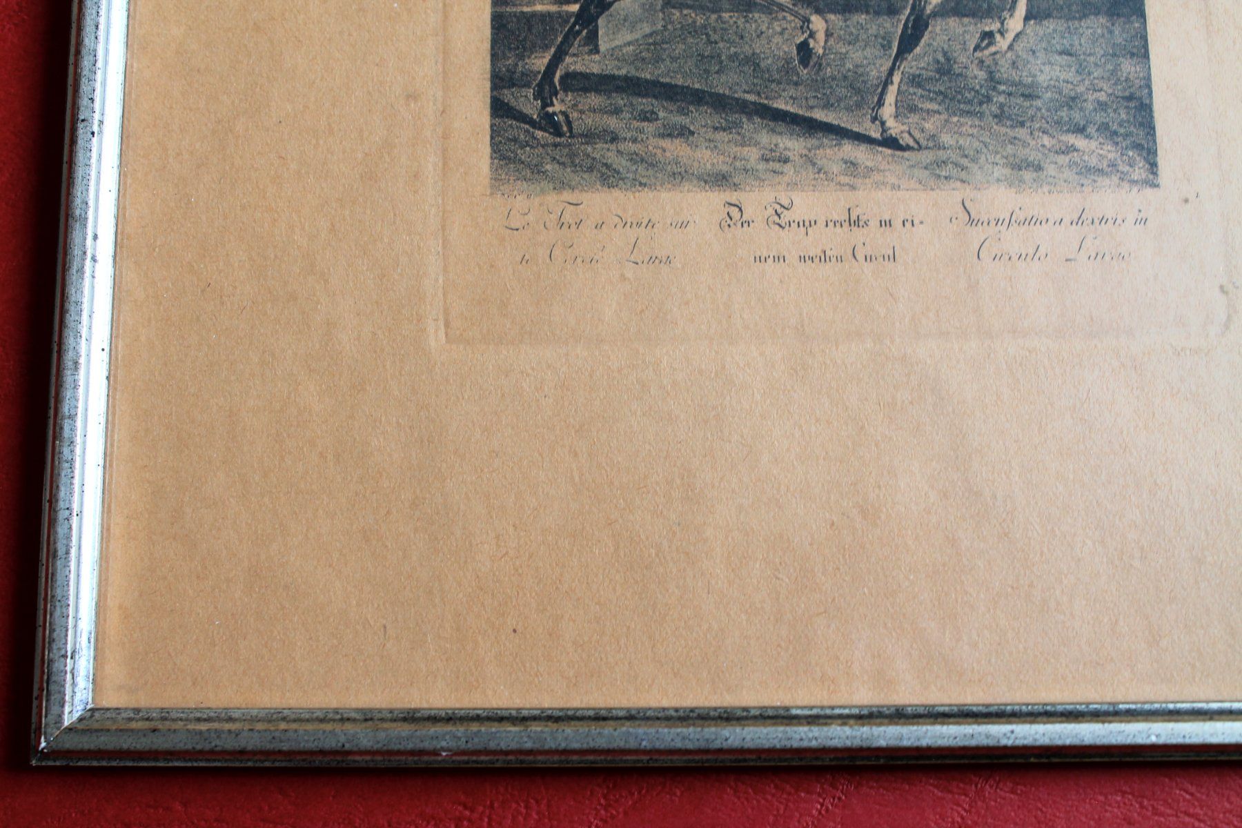 Grafica & Litografie: J. E. Ridinger - Der Trap rechts in einem weiten Circul – Usato da Rebstein venduto da QuasarVincent 3