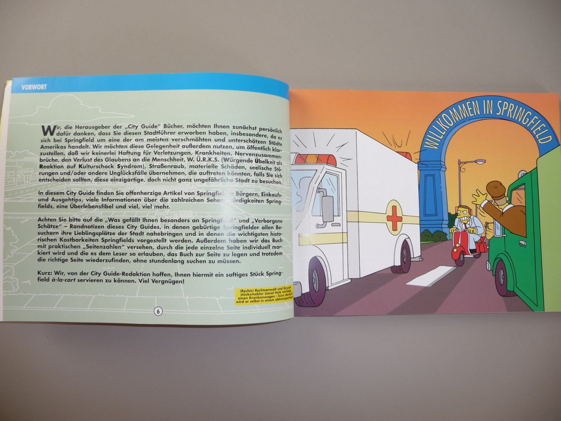 Fumetti: Simpsons City Guide Springfield - Kultbuch – Usato da Neftenbach venduto da sorge 6