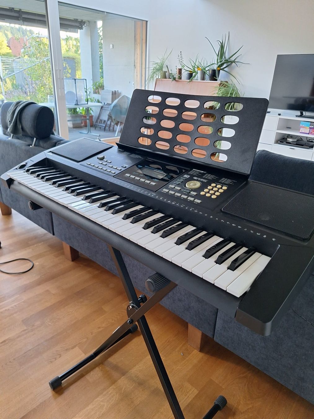 C.Giant Strumenti musicali: Keyboard inkl. Ständer – Usato da Bern venduto da vonBarbara