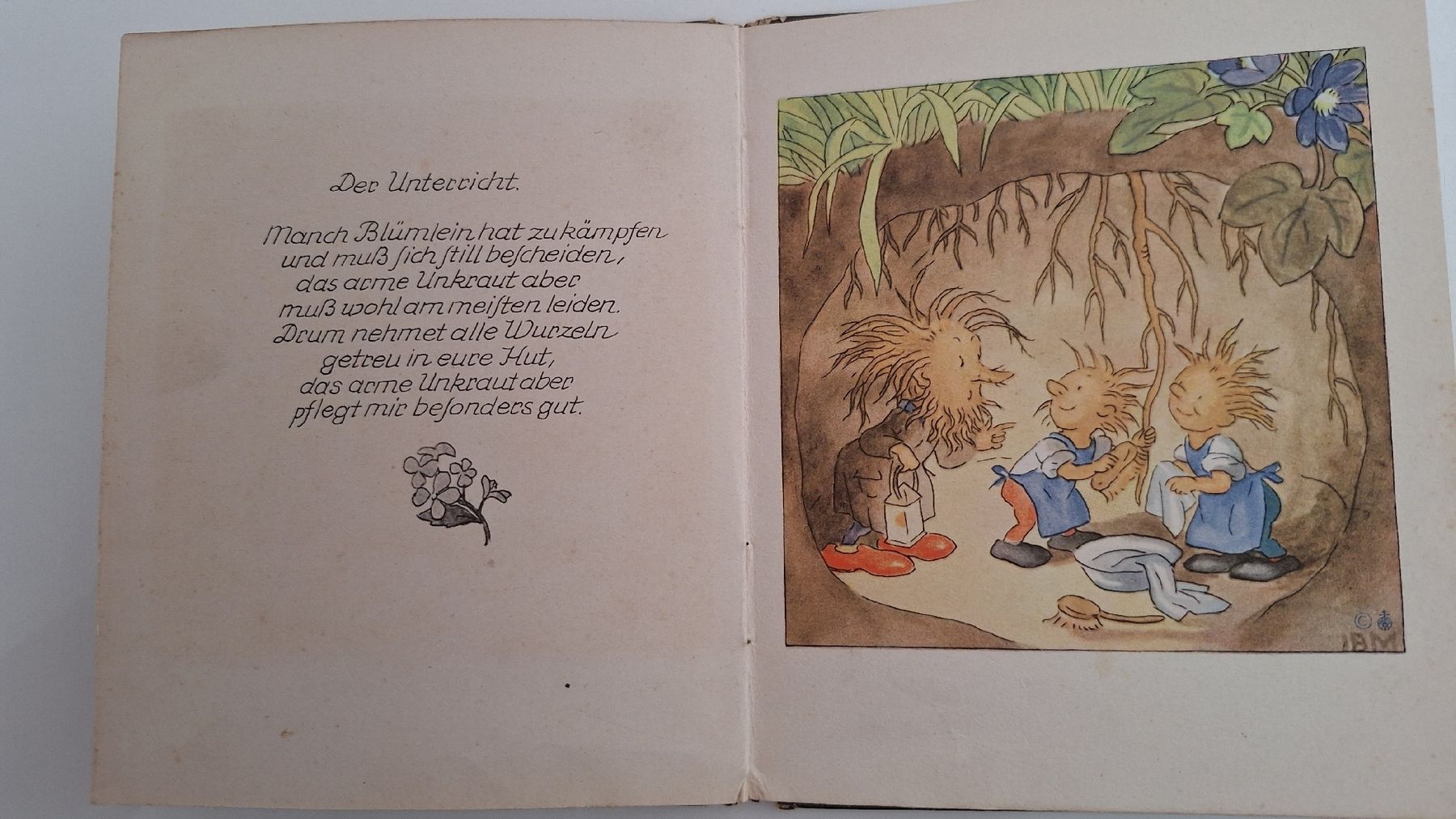 Livres: Bei den Wurzelmännlein – D'occasion à Muttenz par Biniruf 7