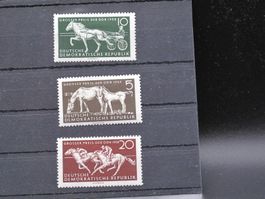 DDR 1958 Pferderennen  *