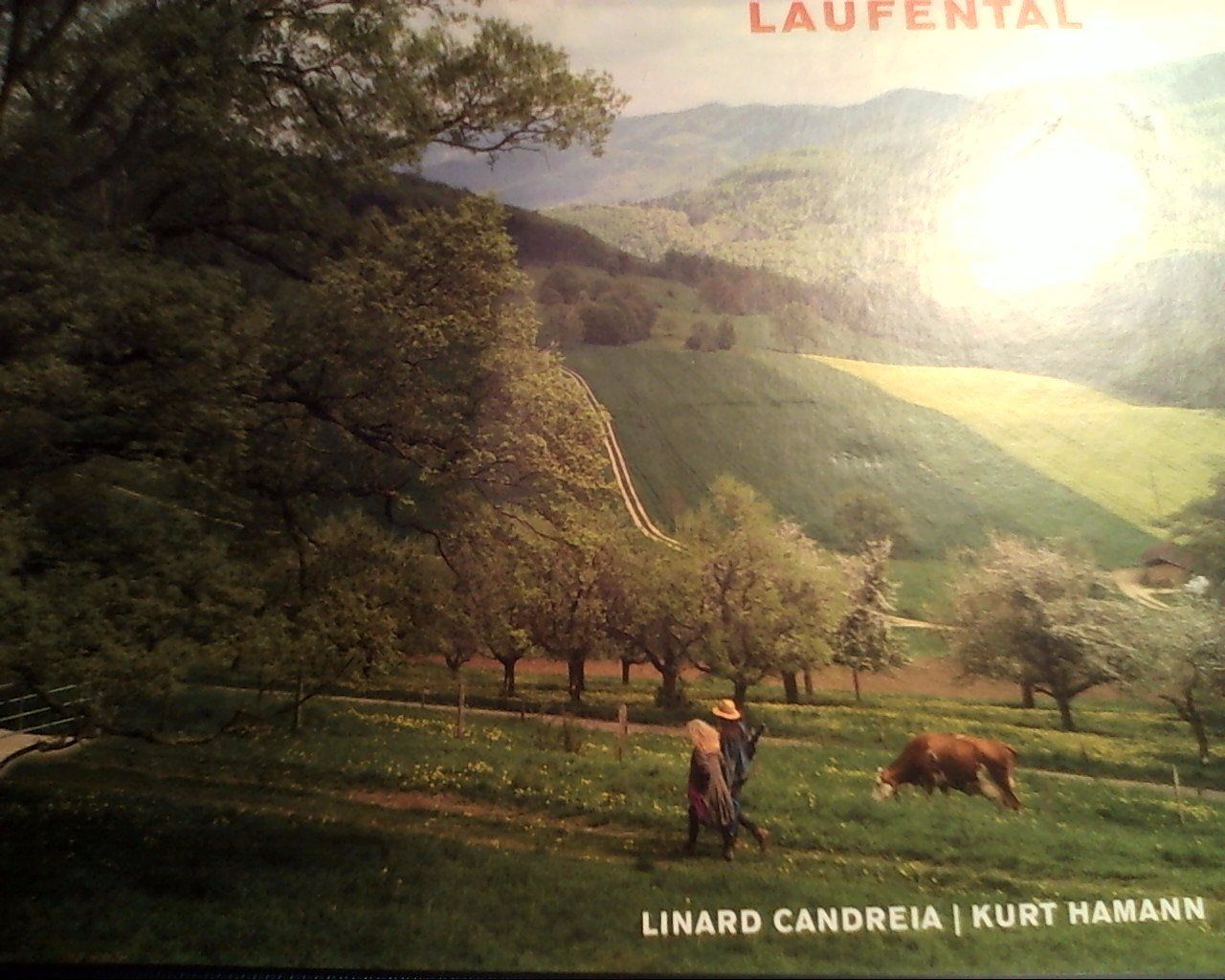 Libri: Laufental - Candreia/Hamann - – Usato da Liesberg venduto da Concombres8478