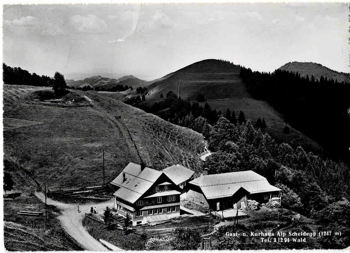 Ansichtskarten: Wald Alp Scheidegg – Gebraucht aus Sulz AG von Oberdanne8