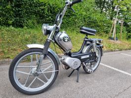 Sachs  Hercules