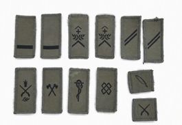 Schweizer Armee Rang und Funktionsabzeichen