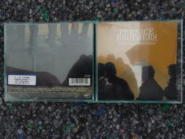 CD : Pernice brothers