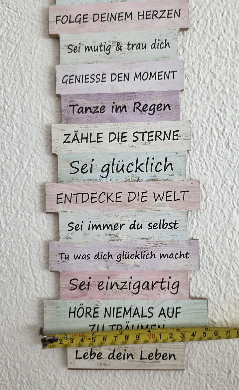 Tutte le decorazioni: Wandschild Spruch mit Motvation Text Holztitel  – Usato da Rheinsulz venduto da Gilea 3
