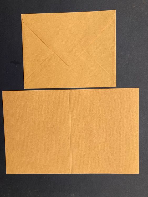 DJP Quadratische Blanko-Karten 17,8 X 17,8 Cm Mit Umschlägen – 25 Stück Für Persönliche Karten