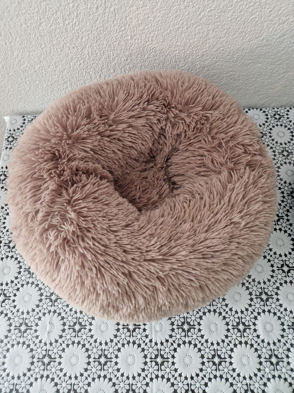 Cucce & Letti: Kuscheliges Hundebett/Katzenbett – Nuovo (secondo la descrizione) da Etzwilen venduto da mue_mm76 1