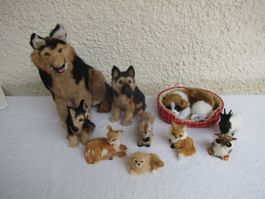 Felltiere