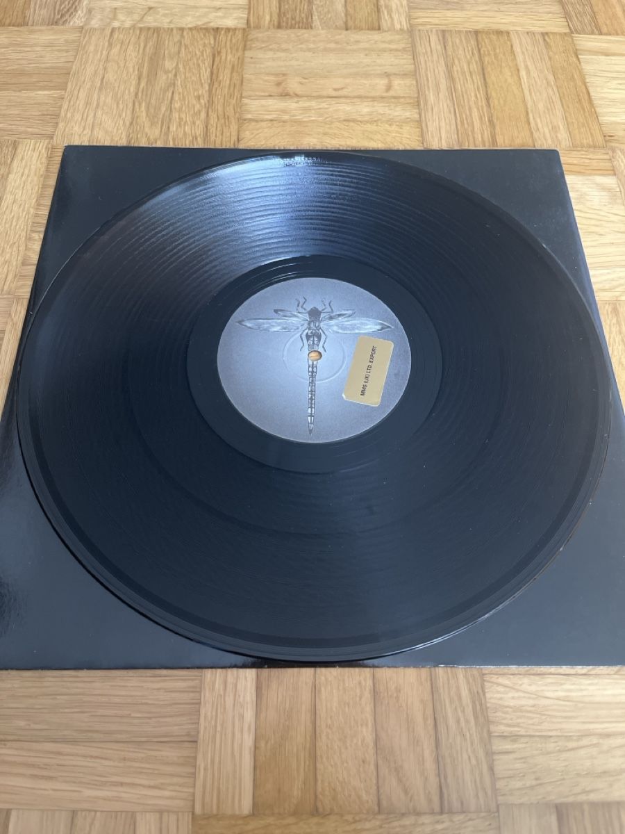Dischi in vinile: Hallucinogen Goa Trance Vinyl – Usato da Wangen b. Olten venduto da break72 3