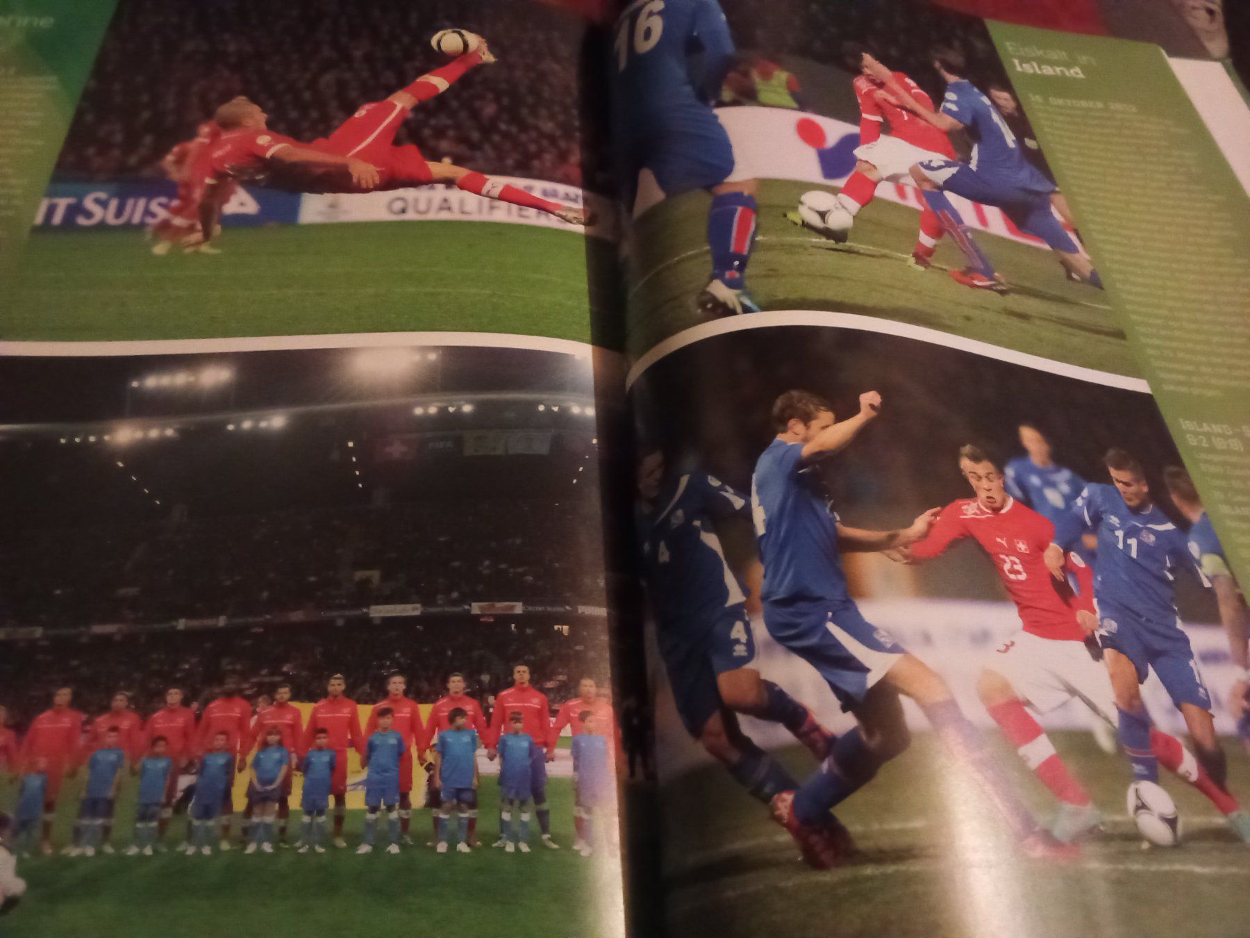 Libri: Das grosse Schweizer Buch der WM 2014 – Usato da Remetschwil venduto da Privatflohmi 8