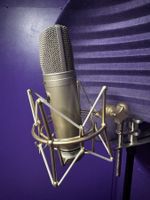 Warm Audio WA-87 gebraucht