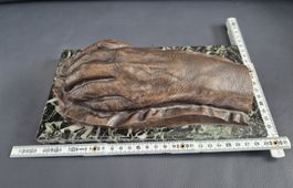 Bronzehand