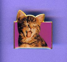 whiskas  Katzenfutter