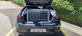 Hundebox speziell angefertigt für den Mazda 3