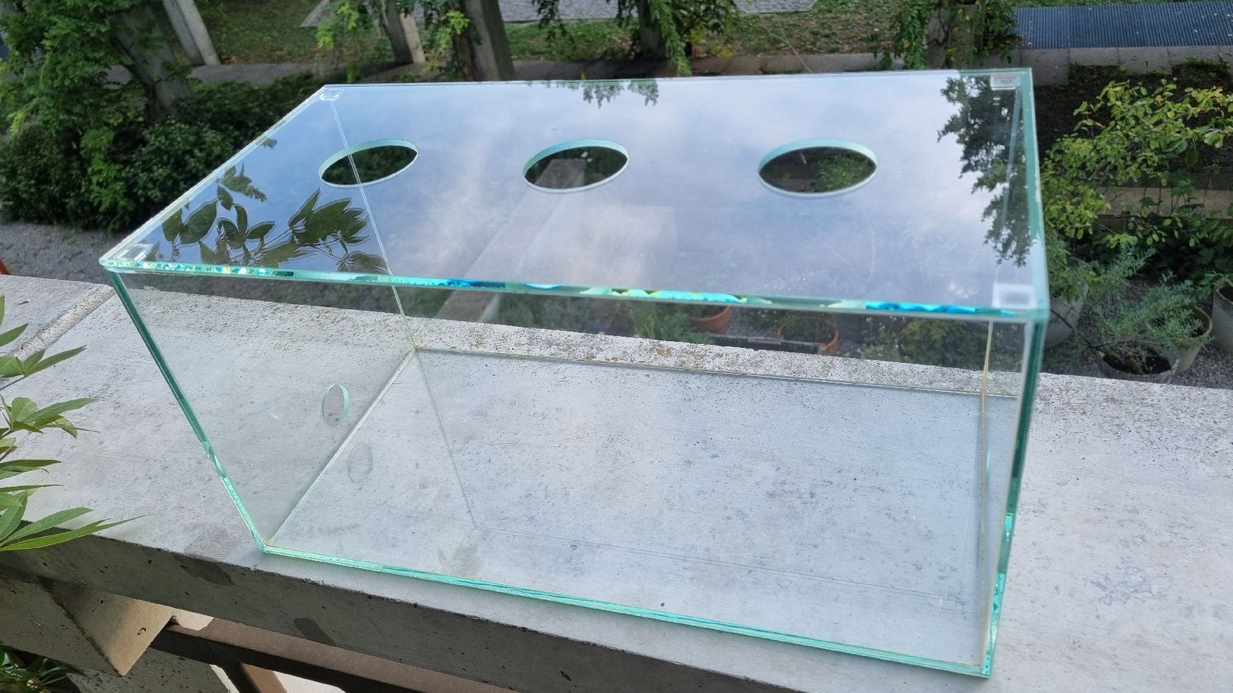 Terrario: Formicarium / Ameisenarena – Usato da Zürich venduto da faka01