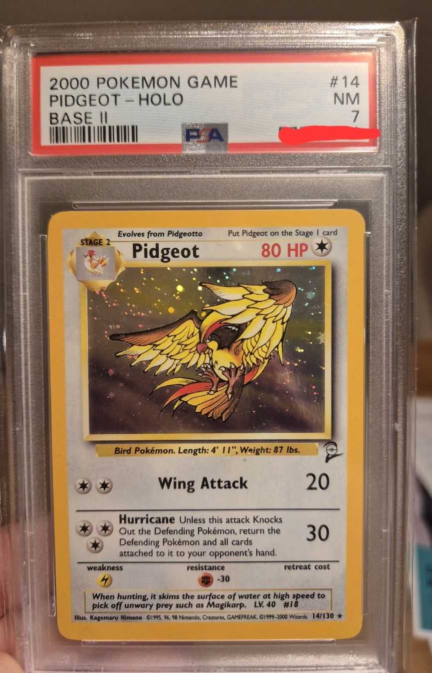 Pokemon Karte PSA Holo Pidgeot (Base