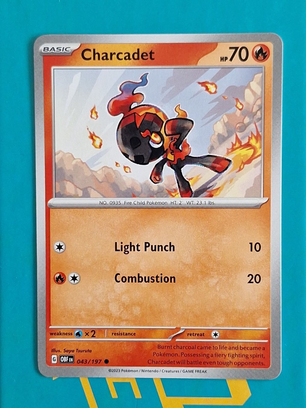 Pokémon Sammelbilder & Trading cards: Charcadet - Pokemon Obsidian Flames – Gebraucht aus Altstätten SG von GGsGameshop