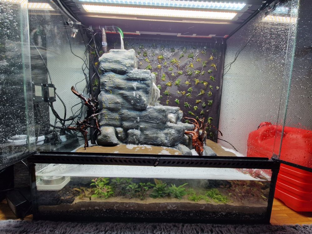 Terrarium Exo Terra 90x45x90 avec cascade Casiment Neuf Kaufen auf
