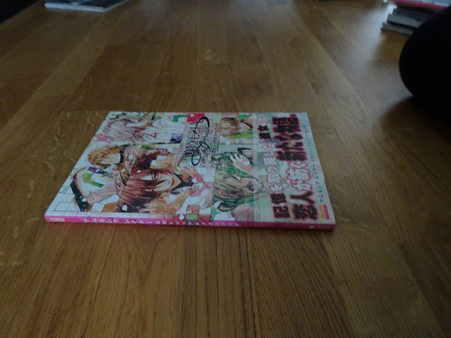 Libri: Amnesia Official Visual Fanbook Artbook – Usato da Bern venduto da Maronn 1