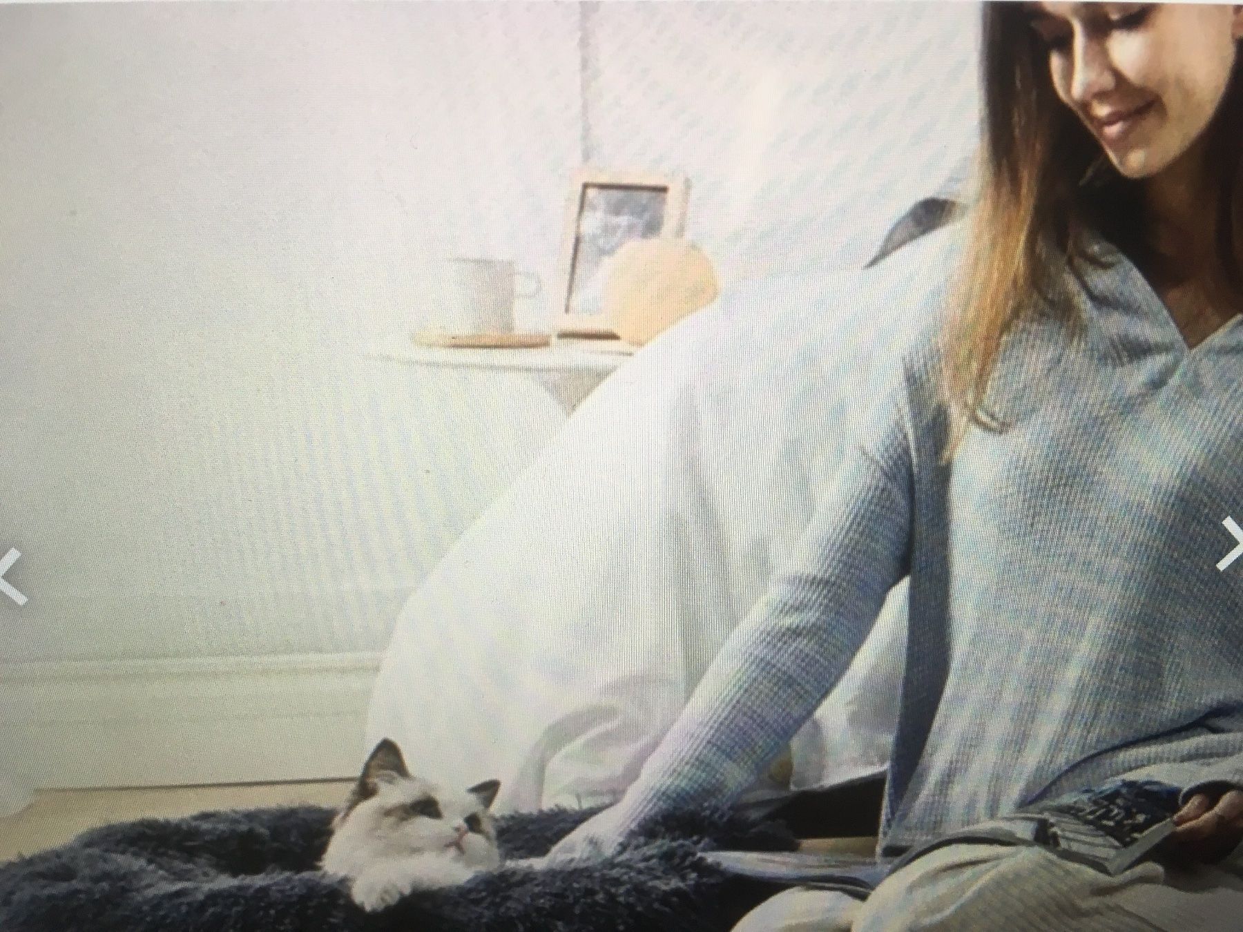 Liege- & Schlafplätze: Katzen Bett flauschig 2 Farben neu – Neu und originalverpackt aus Rorschach von charlotte1964 1