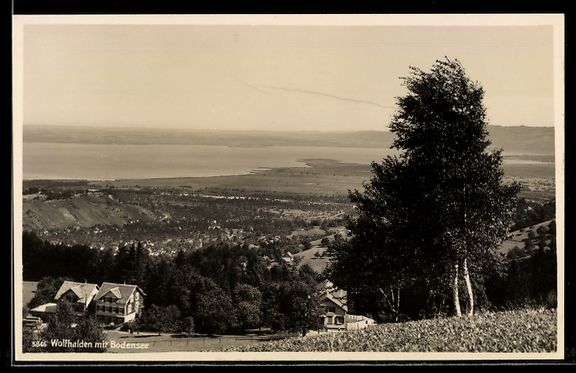 Ansichtskarten: AK Wolfhalden, Mit Bodensee – Gebraucht aus Berlin von bartko-reher