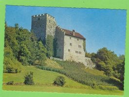 Schloss Habsburg