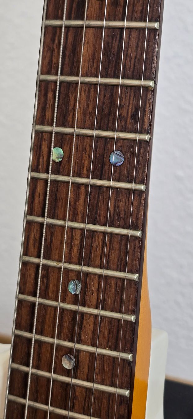 Strumenti musicali: Tuscany by Frudua – Usato da Meilen venduto da Roobiedoobie 4