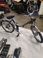 motorino Pony sachs