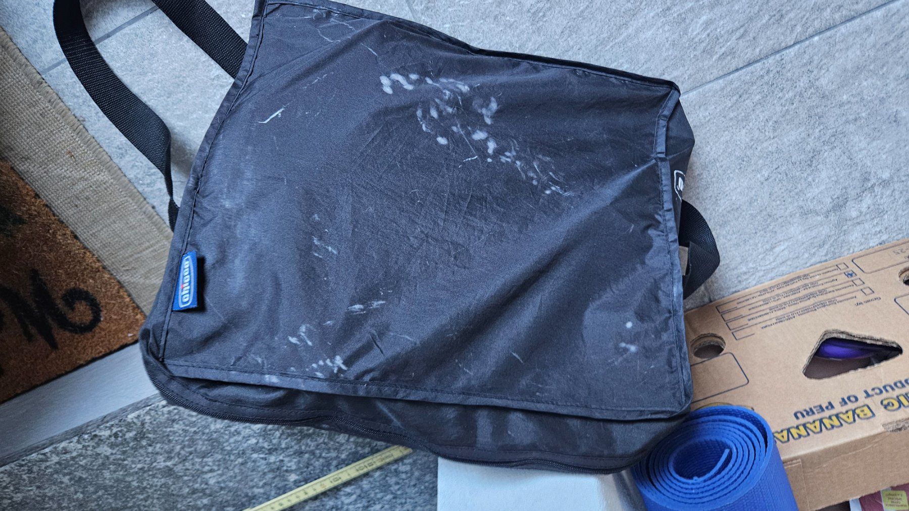 Chicco Seggioloni: Seggiolone da tavolo Chicco – Usato da Melano venduto da H-Sara 1