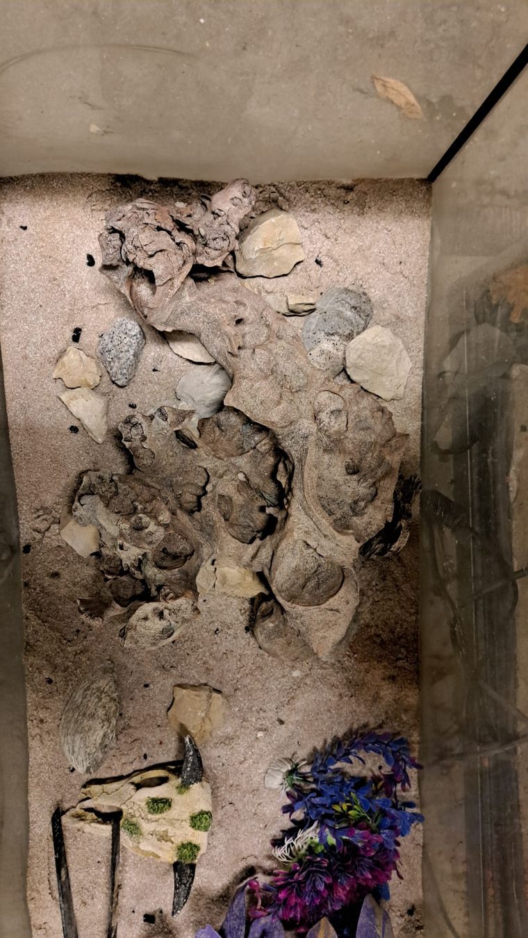 Acquari: Aquarium 110 Liter – Usato da Oberentfelden venduto da Myri13 3