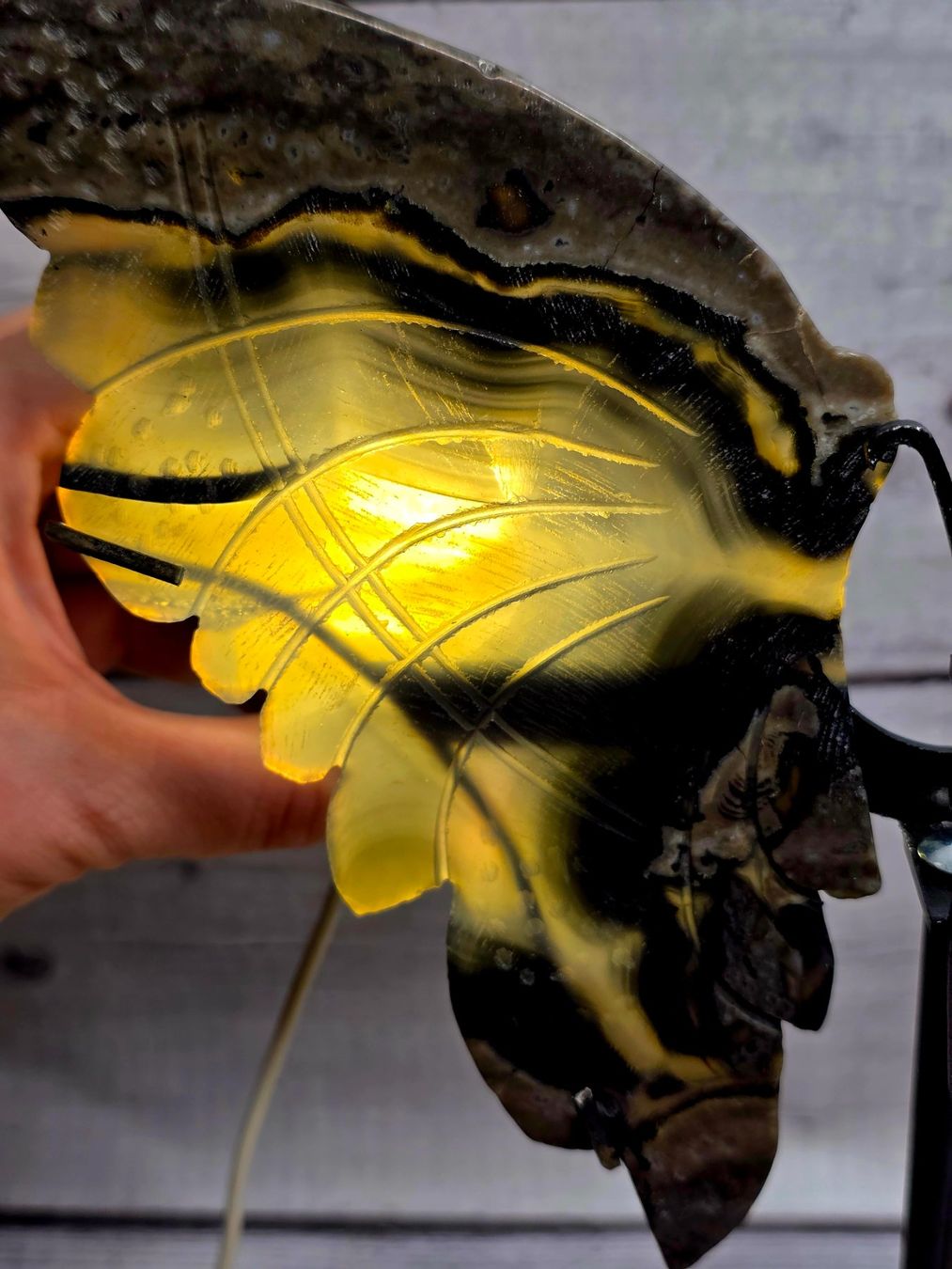 Minerali & Pietre curative: Vulkanachat Schmetterling – Nuovo (secondo la descrizione) da Matzingen venduto da Shay_Crystalz 2