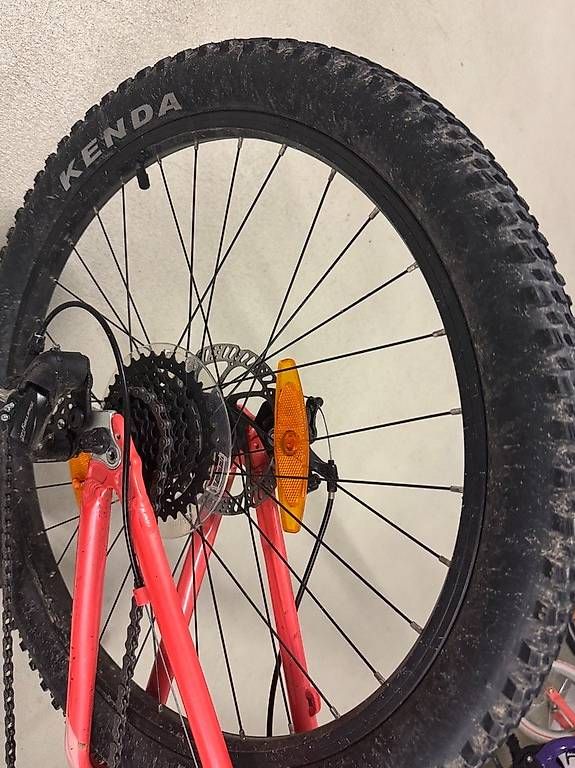 Scott Biciclette: SCOTT Contessa 24 Disc Junior - Top Zustand – Usato da Endingen venduto da arora.sumit1976 2