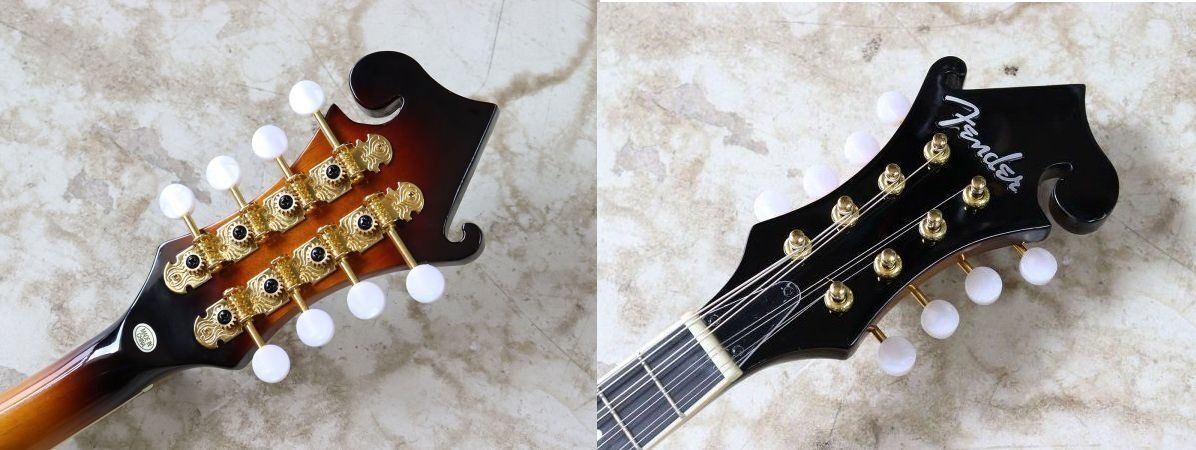 Fender Strumenti musicali: FENDER Mandoline F  TOP Bellissimo – Usato da Locarno venduto da Antonio41 5